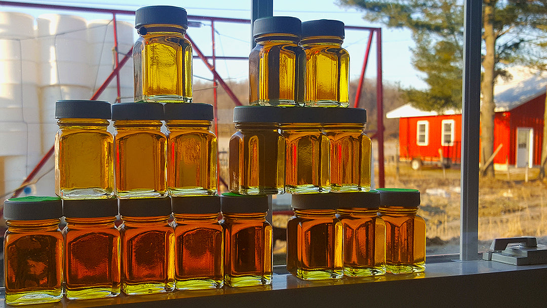 Samples of grades of maple syrup during production.